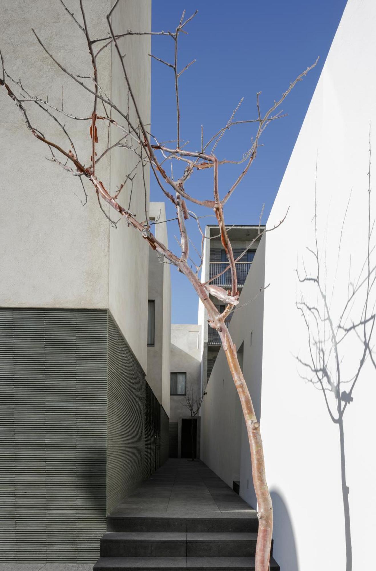 Suites Everness Guadalajara Exterior photo